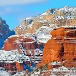 The Mountain Lion - Horses Sedona\'S Most Loved