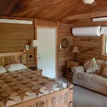 Canyon Wren Honeysuckle Cabin