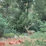 Sedona Cathedral Hideaway B&B And Casita