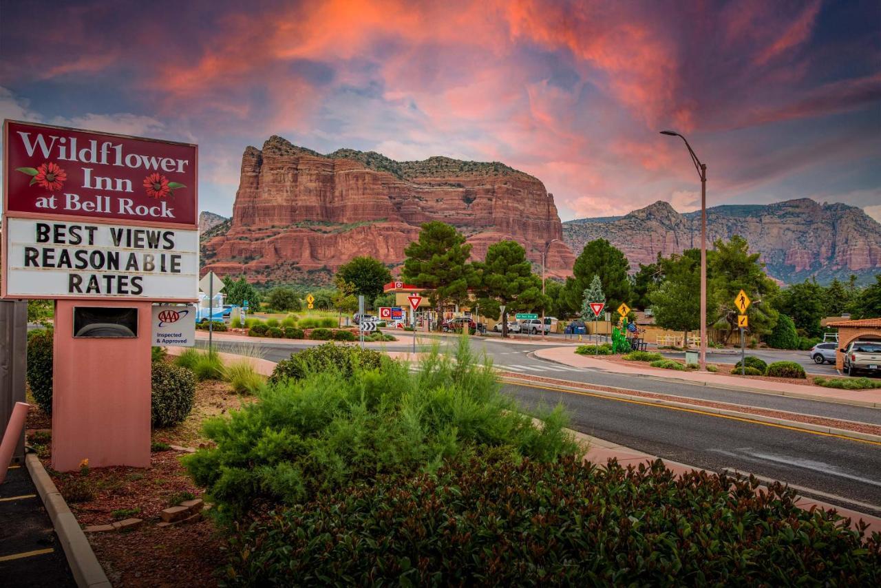 Wildflower At Bell Rock Sedona