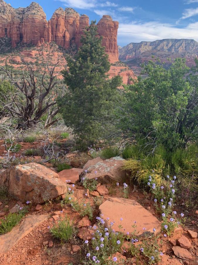 - Thunder Mountain Sedona