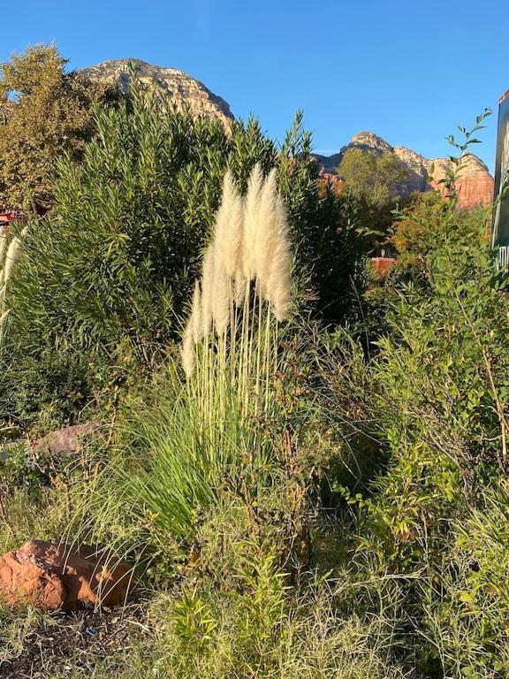 Beautiful Near Chapel Of The Holy Cross Sedona