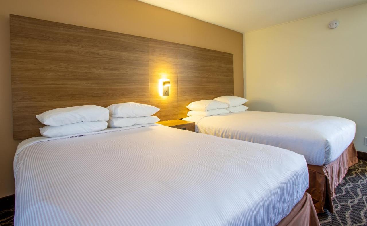Motel Dreamcatcher Of