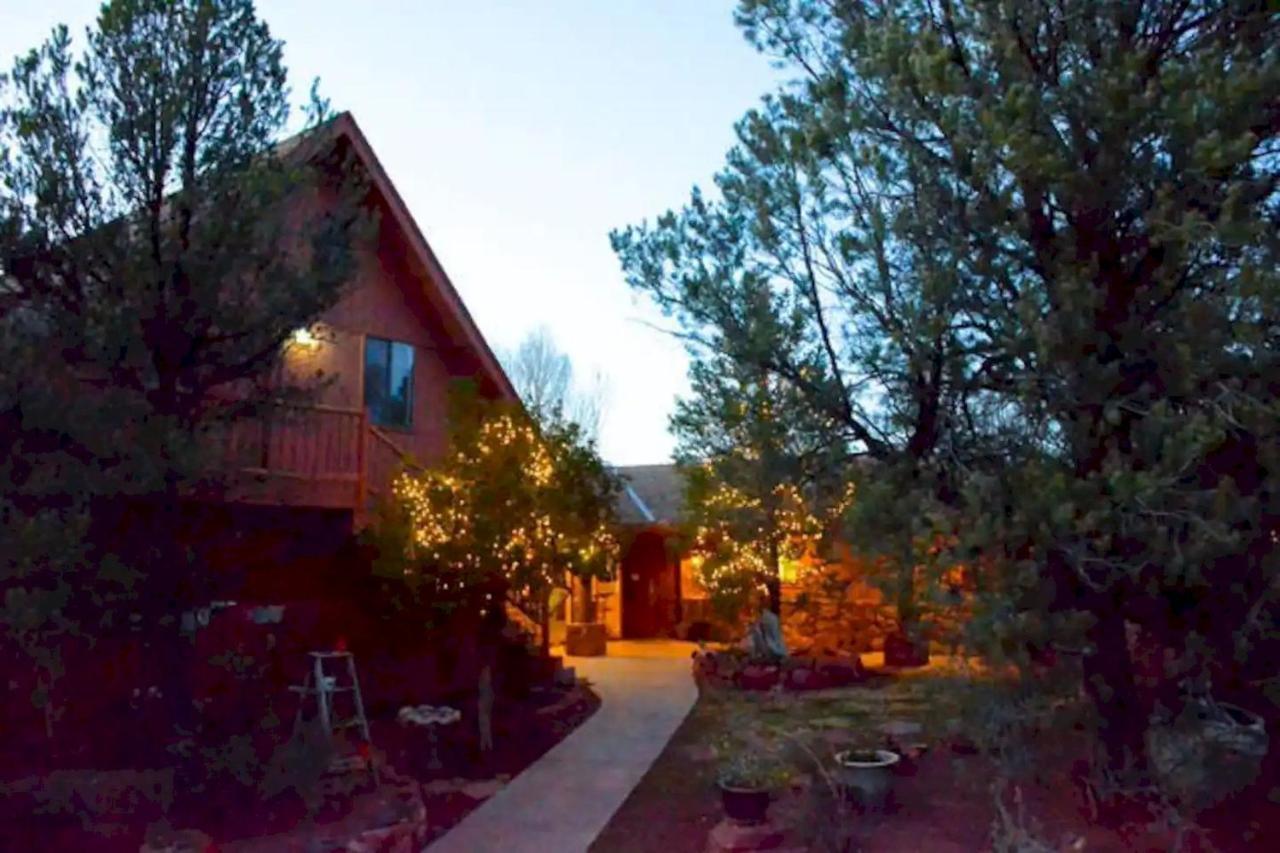 The Mountain Lion - Horses Sedona's Loved *