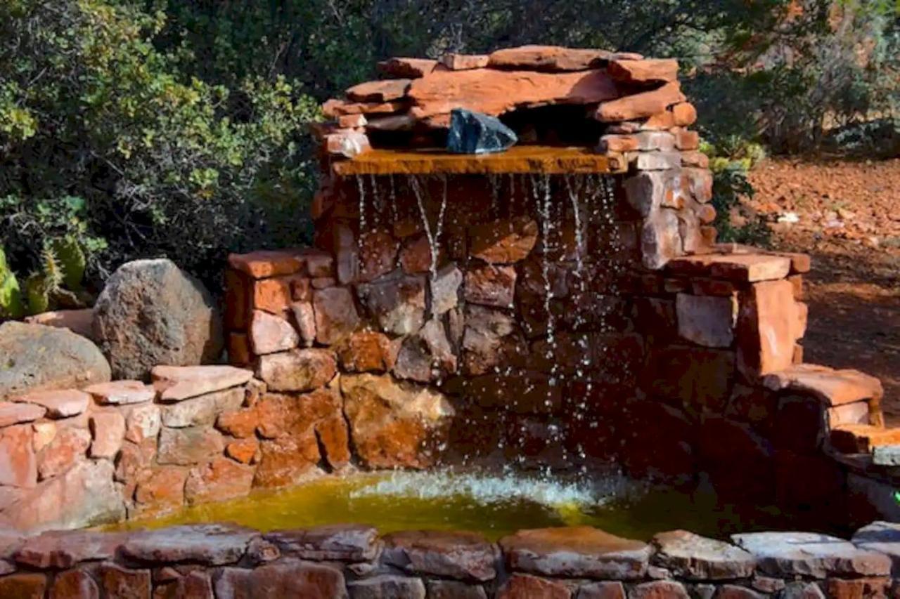 The Mountain Lion - Horses Sedona's Loved Farm stay