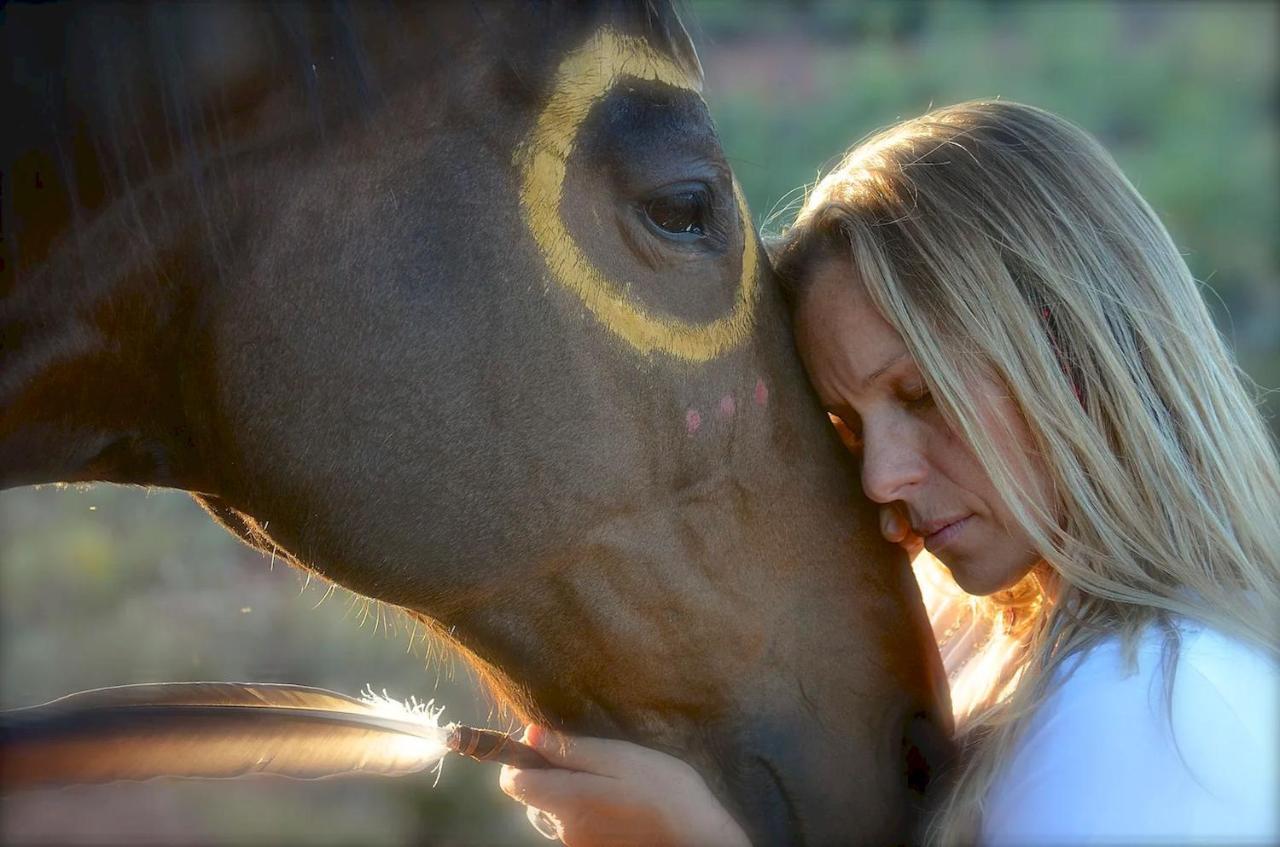 The Mountain Lion - Horses Sedona's Loved Farm stay *