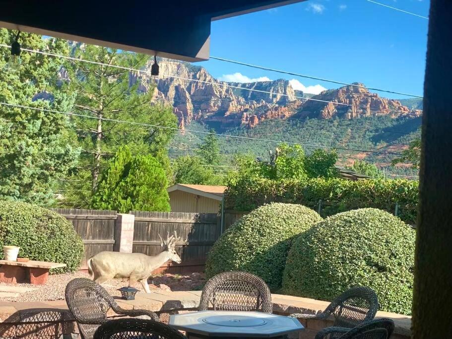 Prime Uptown Location- Mountain View- Kid Friendly - Sleeps 10 Holiday home *