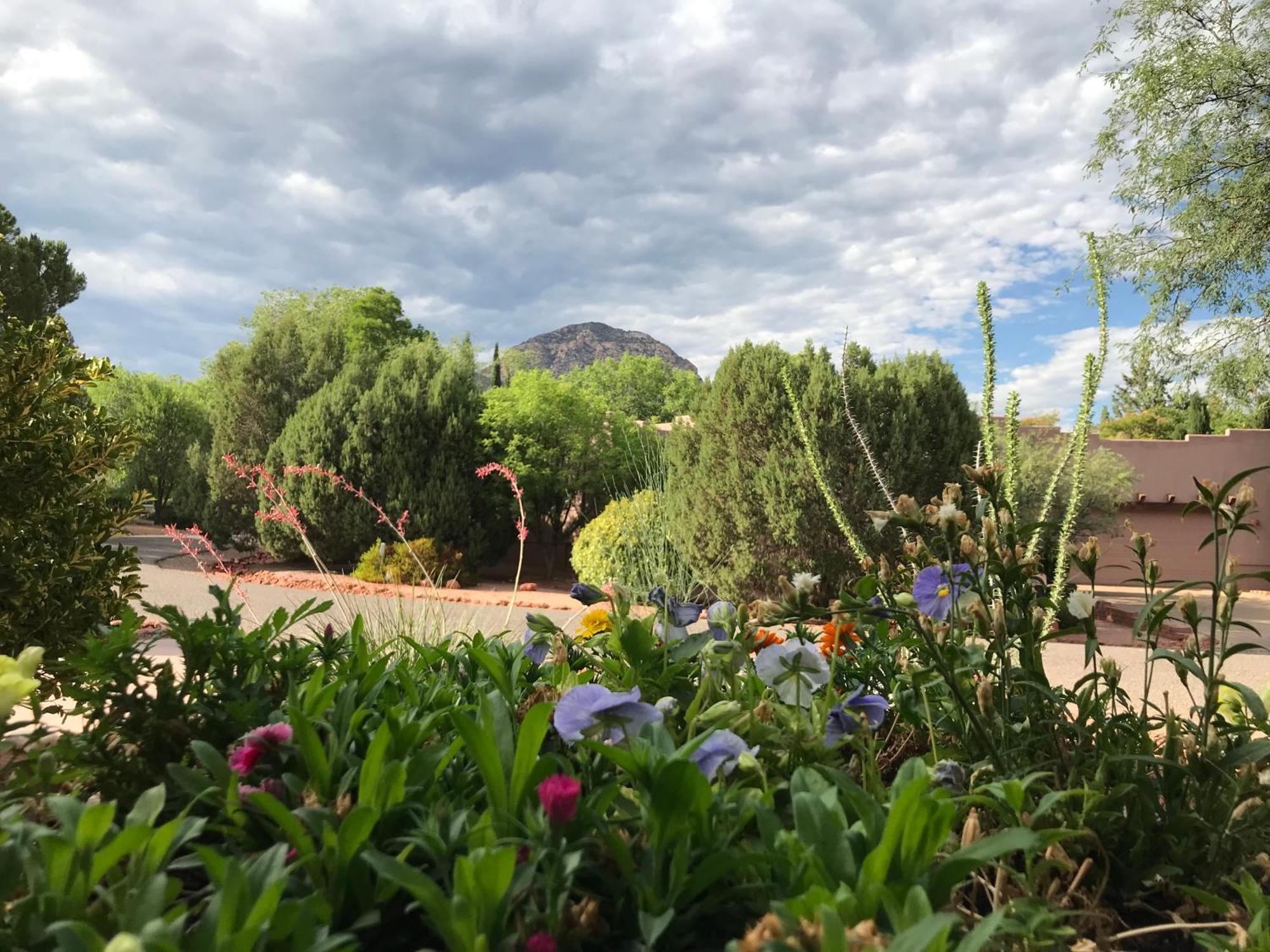 Mountain View Apartment, Residential Area, Private Entrance Apartment *