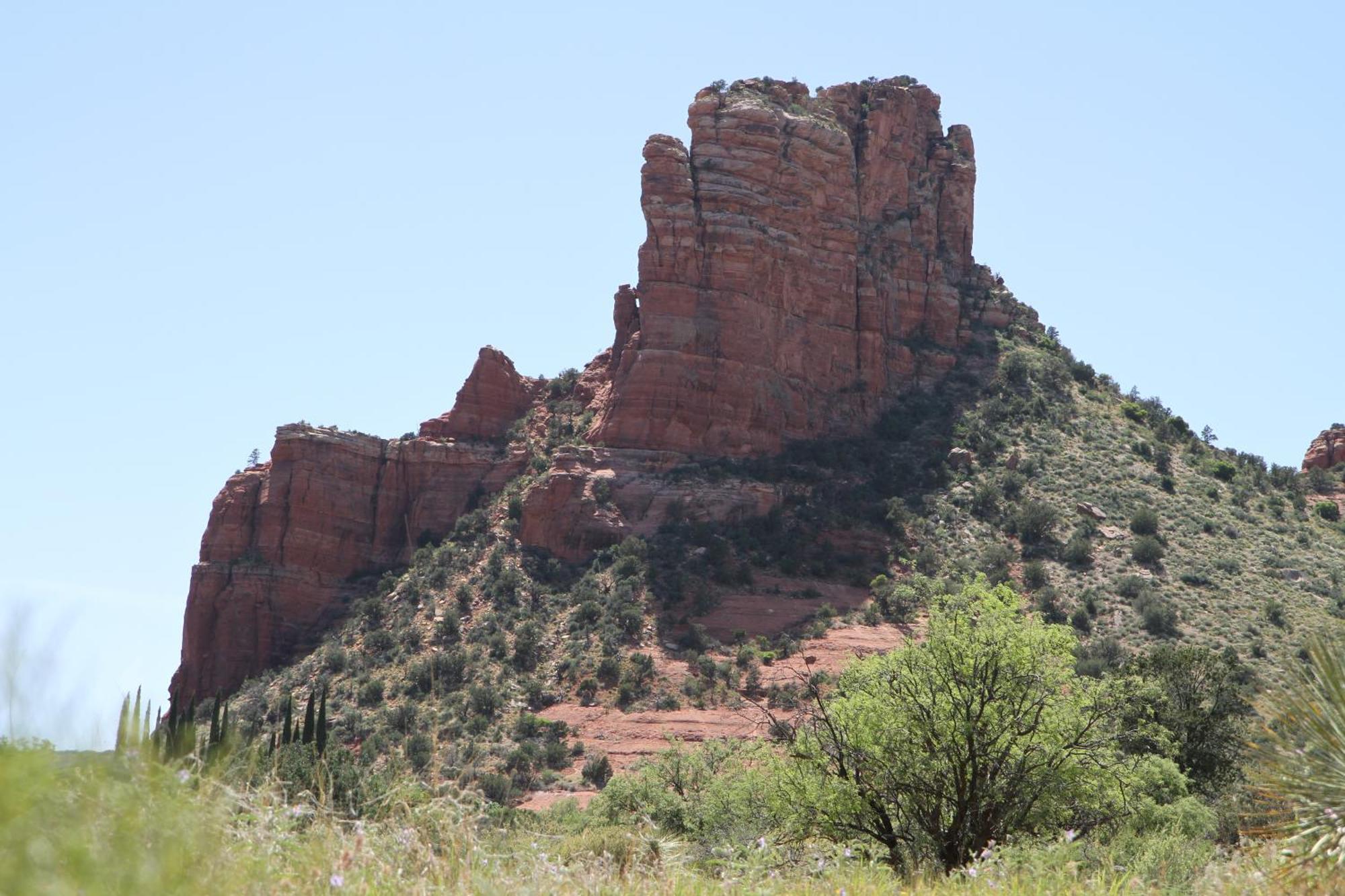 Red Agave 3*