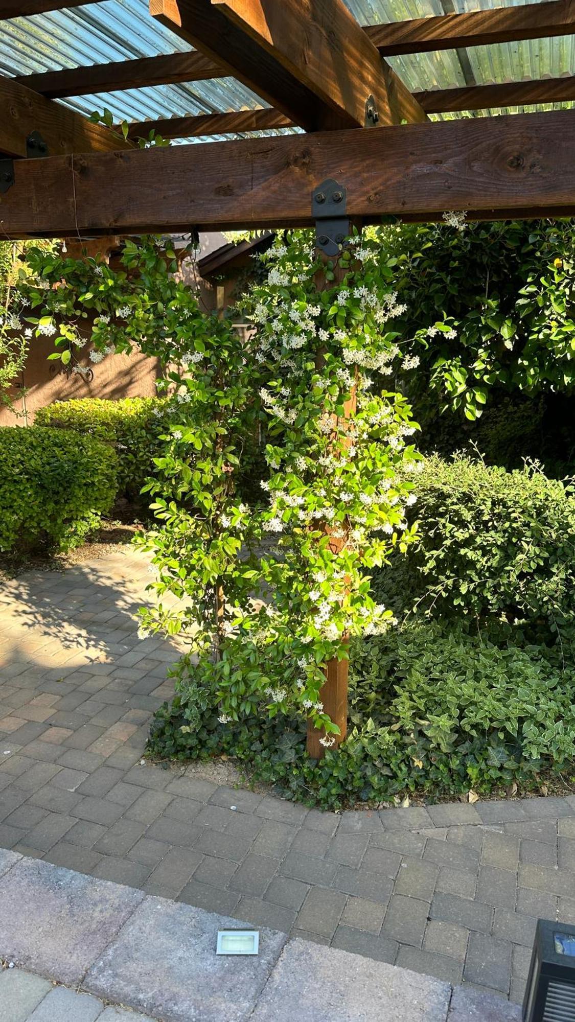 Inn Lantern Light - Romantic Getaway (adults Only)