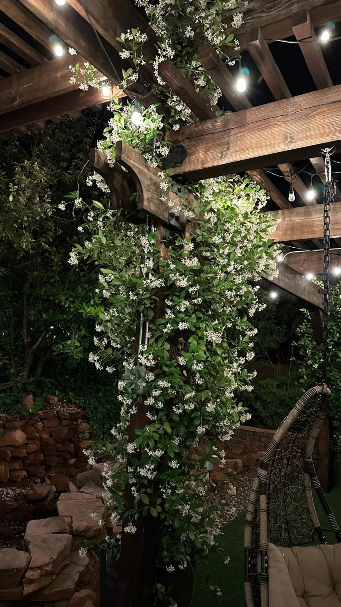 Lantern Light - Romantic Getaway (adults Only) 3*
