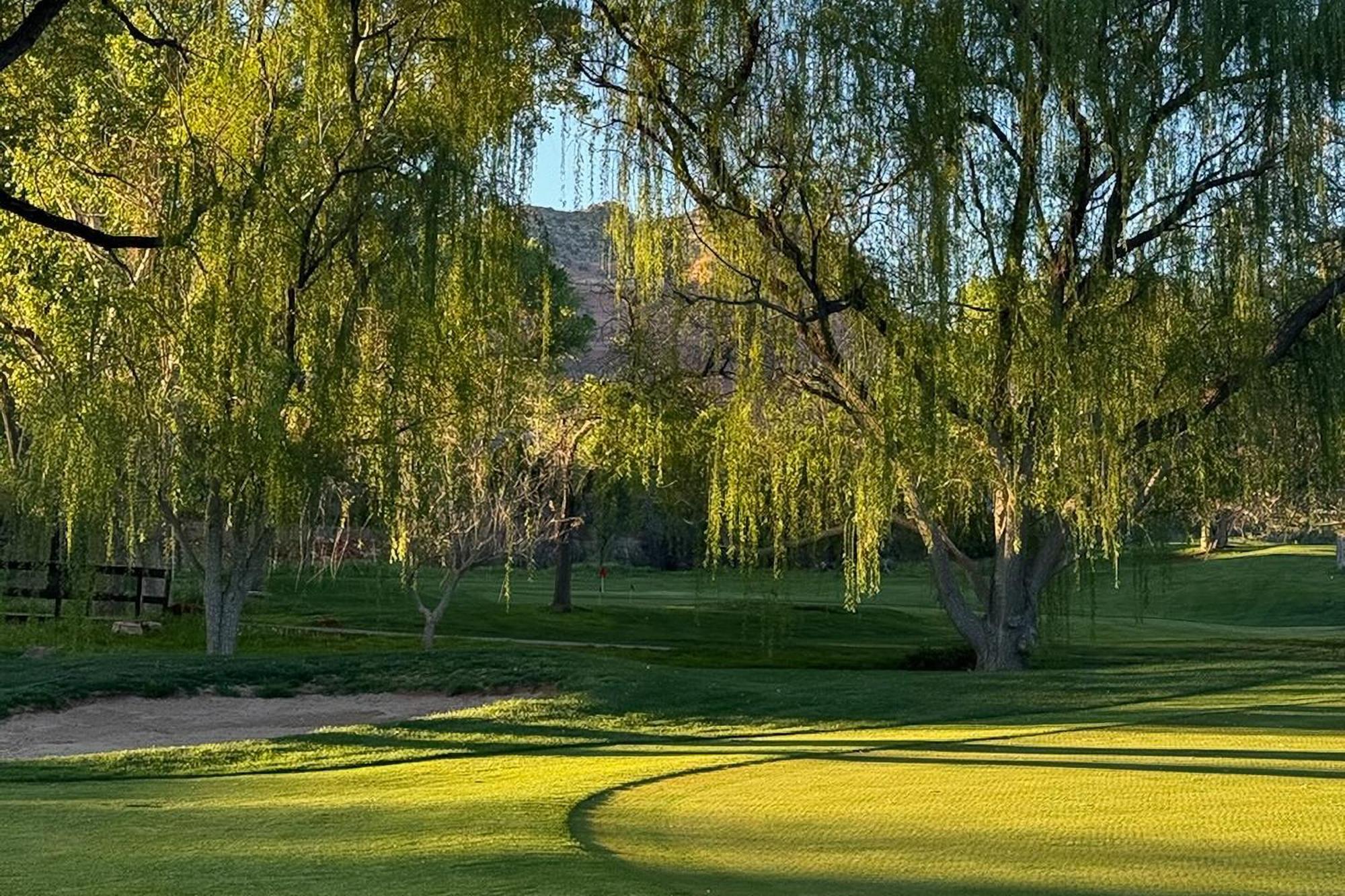 On Scenic Golf Course With Pool Access! *