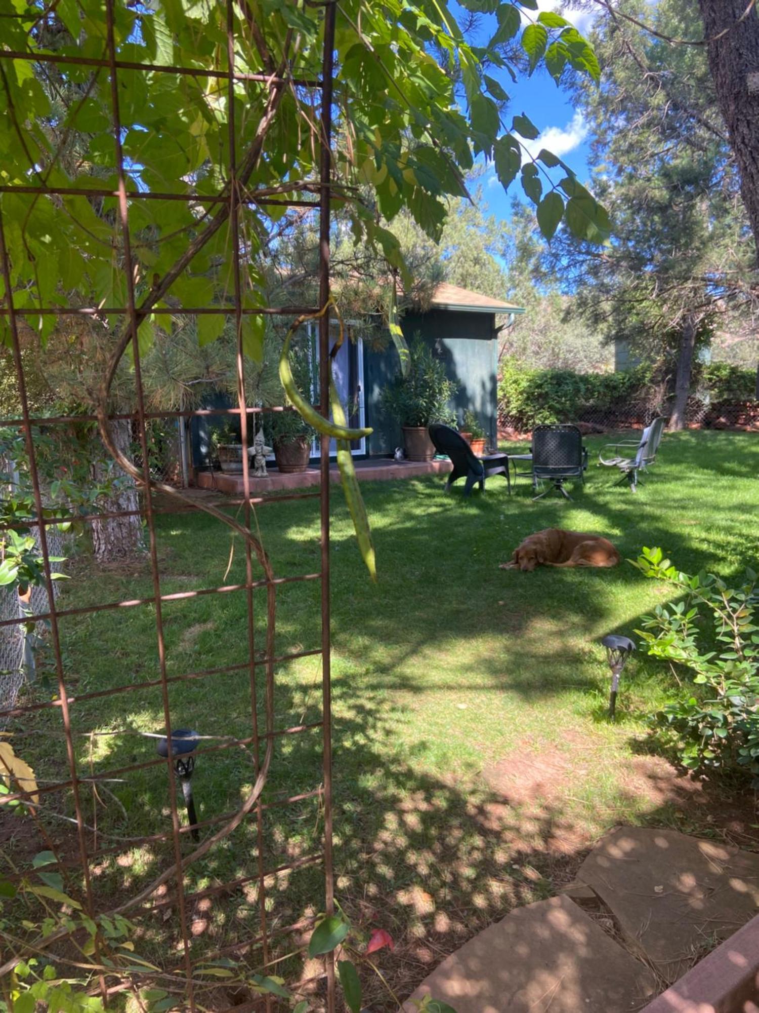 The Zen Space Guest house
