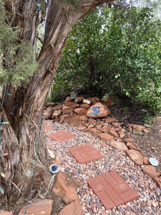 Raven * Sedona