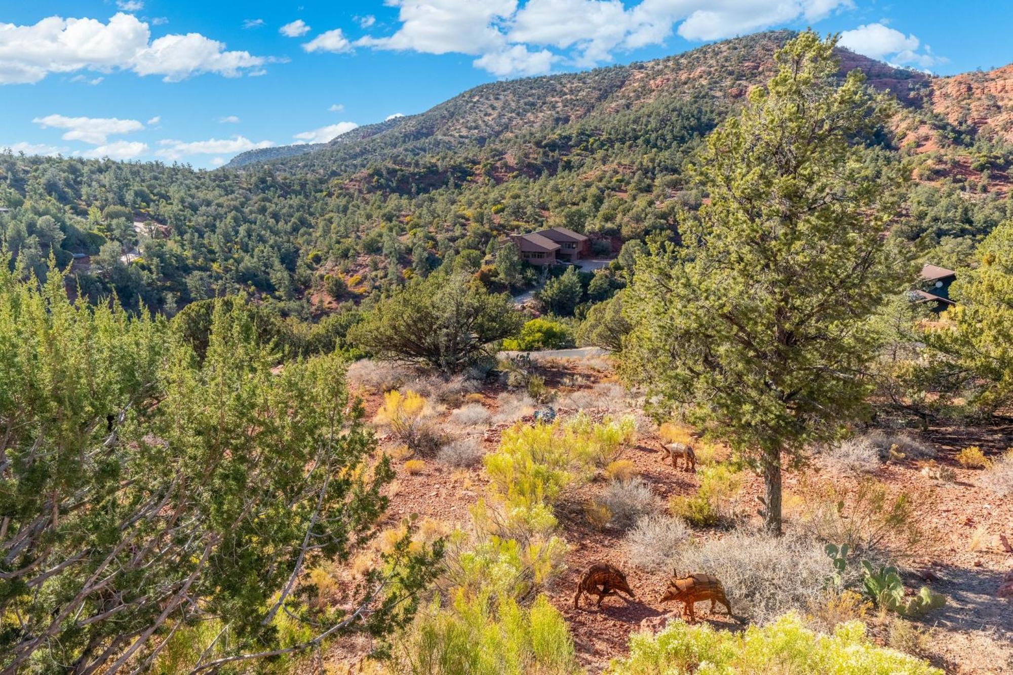 Hot Tub Game Stargazing And Mountain Views At Happy Javelina