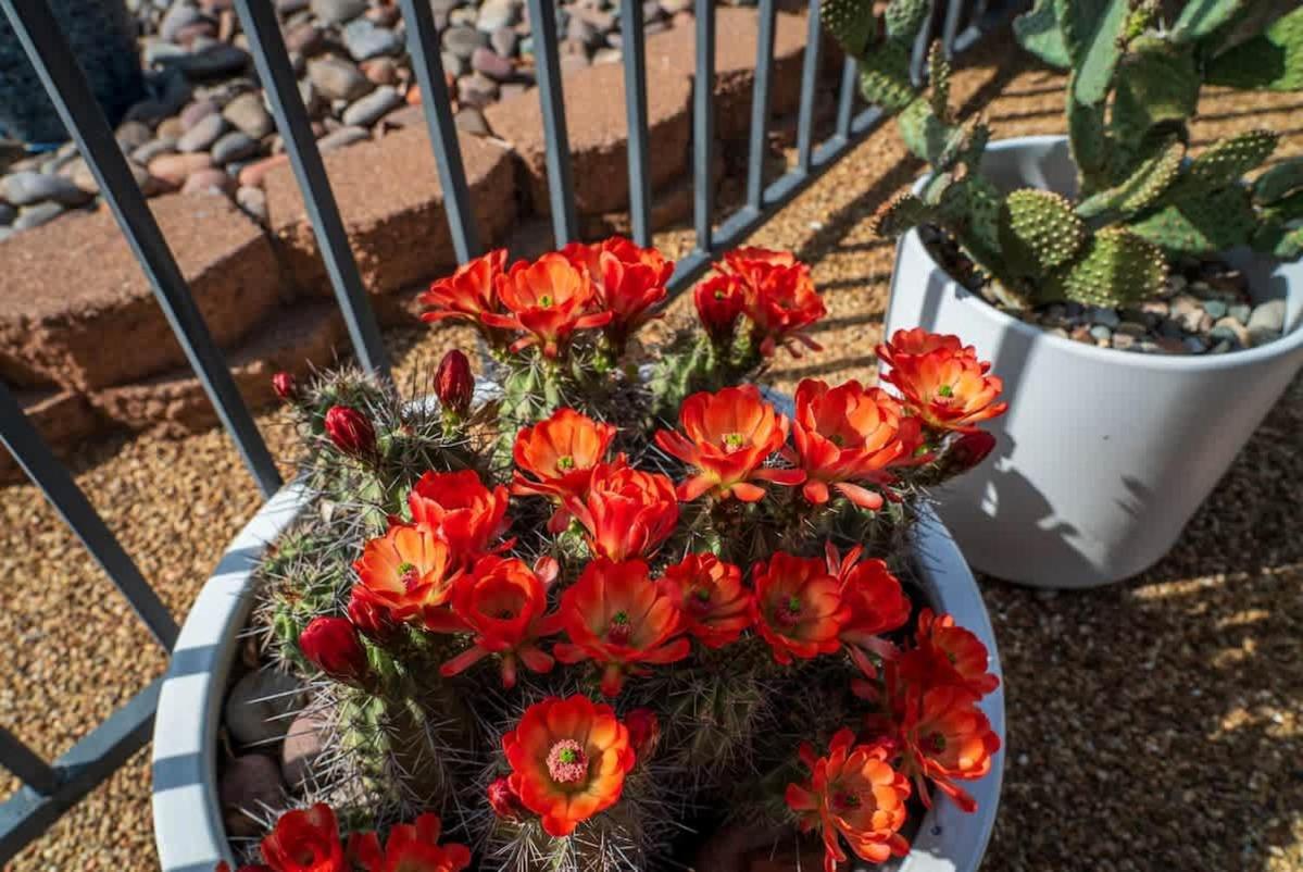 Holiday home Prime Location With Hot Tub Pool And Views For Family Sedona