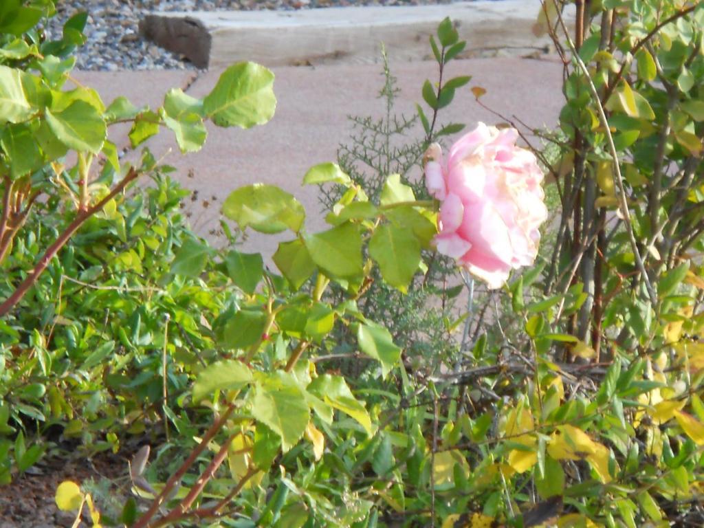 Apple Orchard - Adult Only 3* Sedona