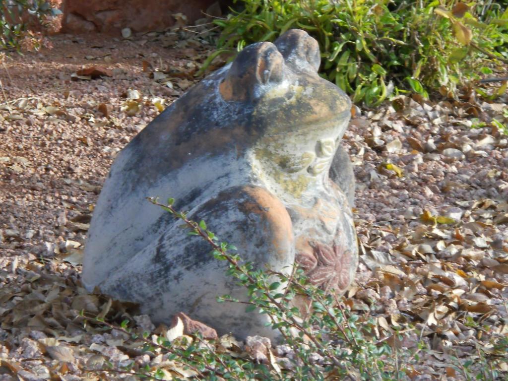 Apple Orchard - Adult Only Bed & Breakfast Sedona