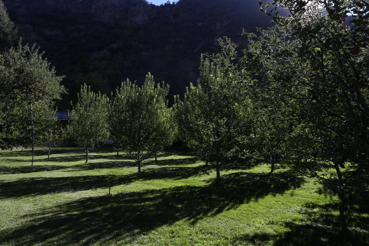 Lodge Orchard Canyon On Oak Creek *