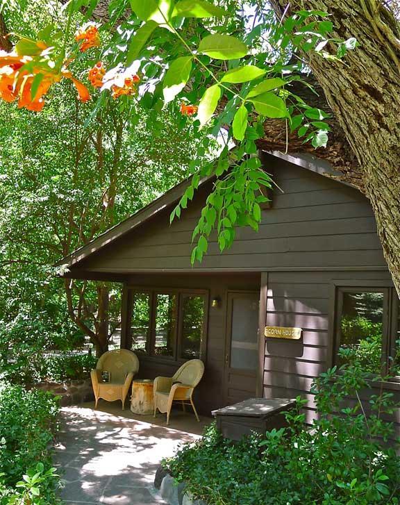 Briar Patch * Sedona