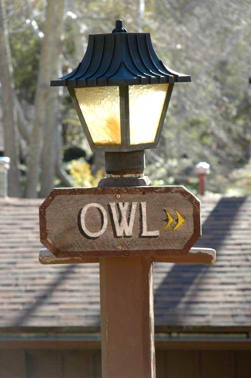 Bed & Breakfast Briar Patch