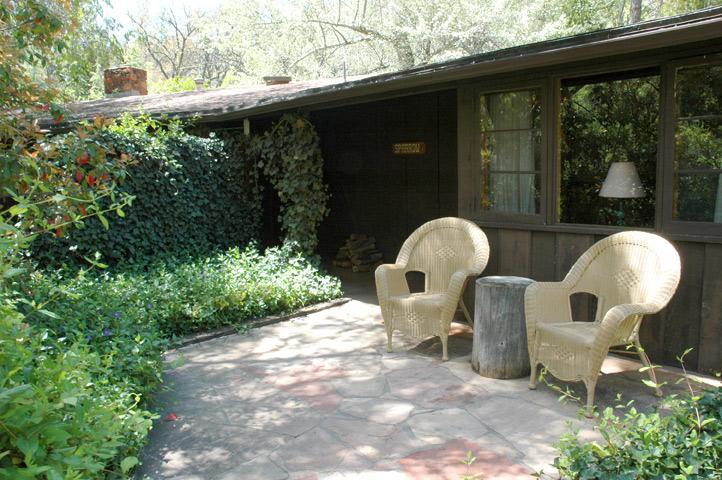 Briar Patch