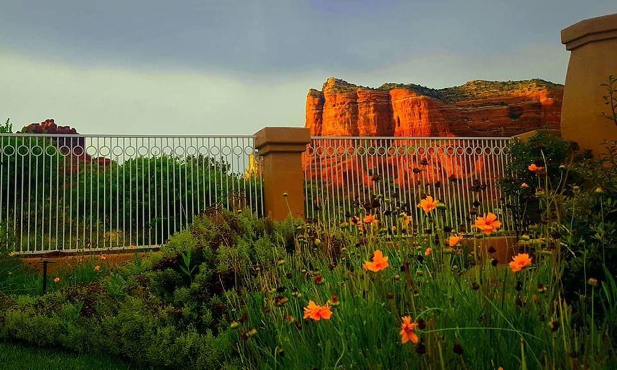 Canyon Of Sedona