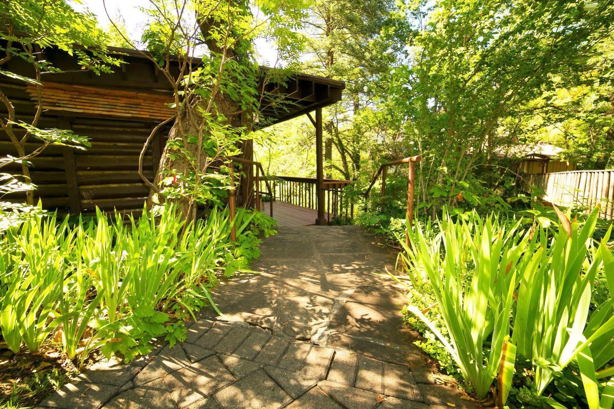 Lodge Orchard Canyon On Oak Creek *