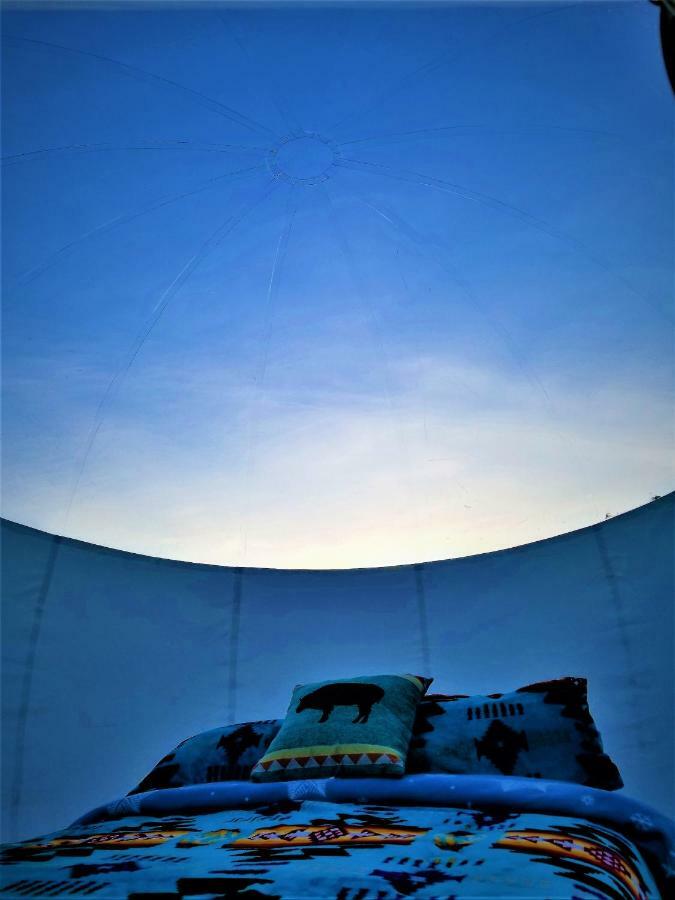 Cave, Yurt, Bubble And Other Glamping Adventures Campsite *