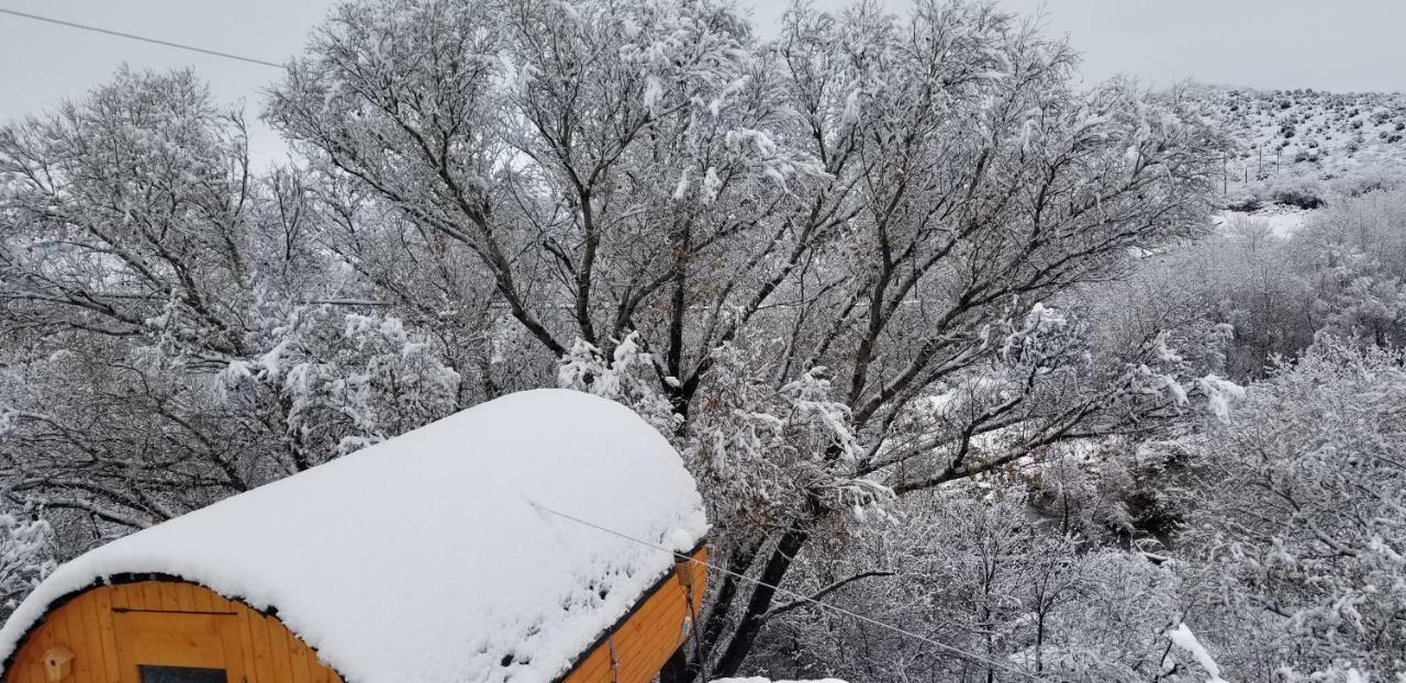 Cave, Yurt, Bubble And Other Glamping Adventures *