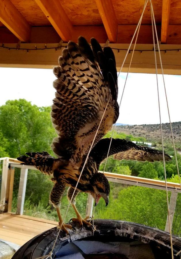 Cave, Yurt, Bubble And Other Glamping Adventures Campsite Sedona