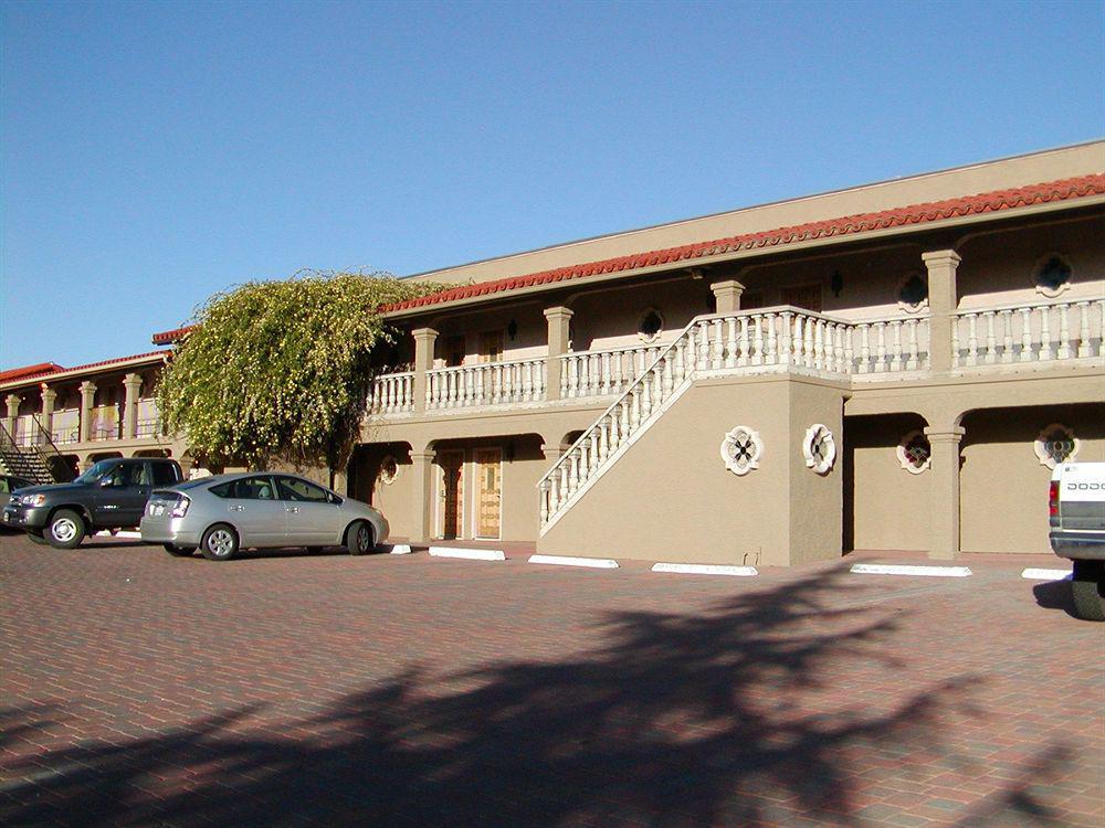 Cedars Hotel 3*