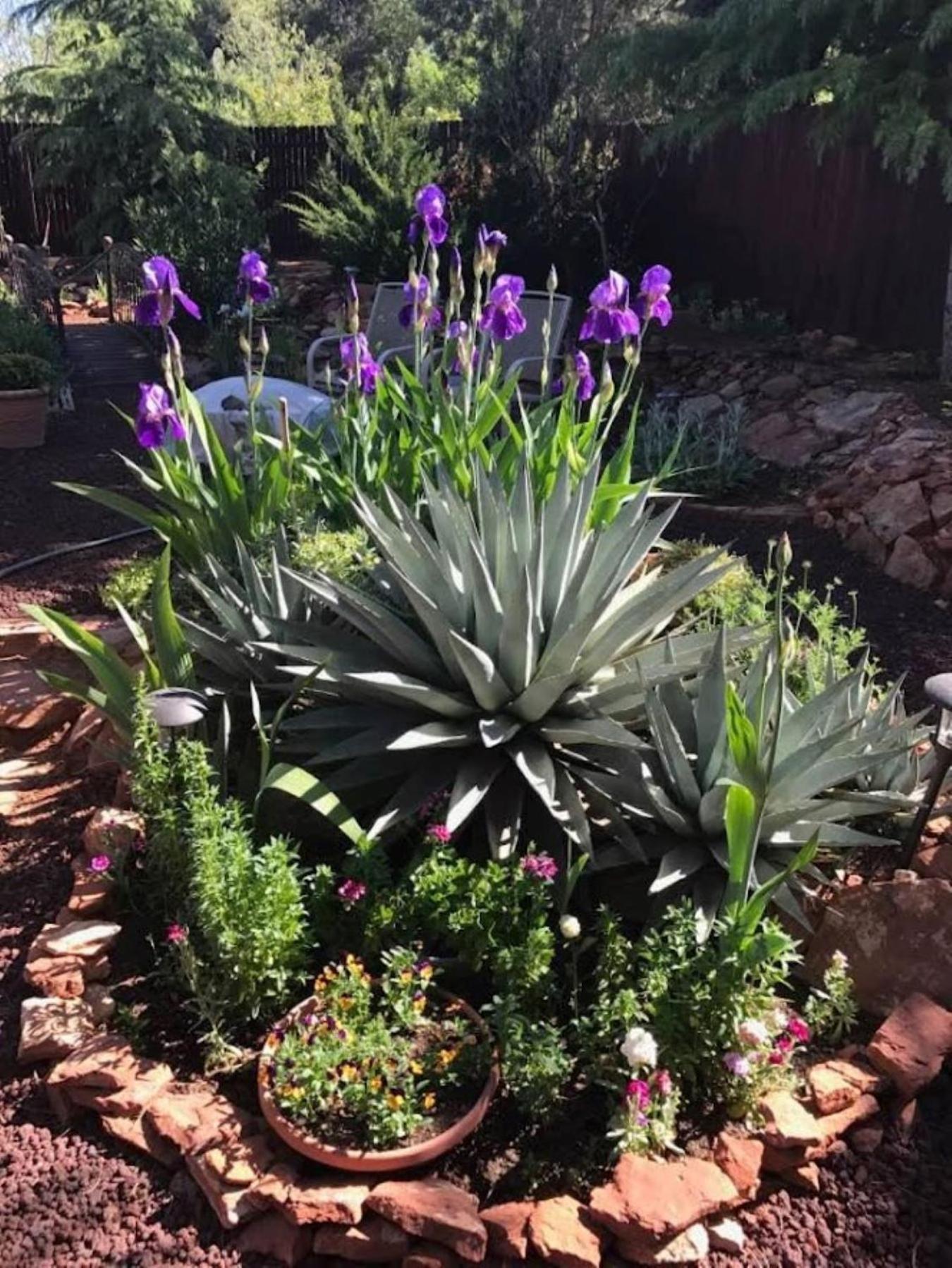 Red Rock Escape - Cozy King Bed & Gardens, Trails, Views, Red Rock Pass *