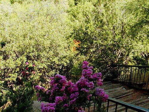 Cedars Hotel 3*