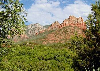 Cedars Sedona