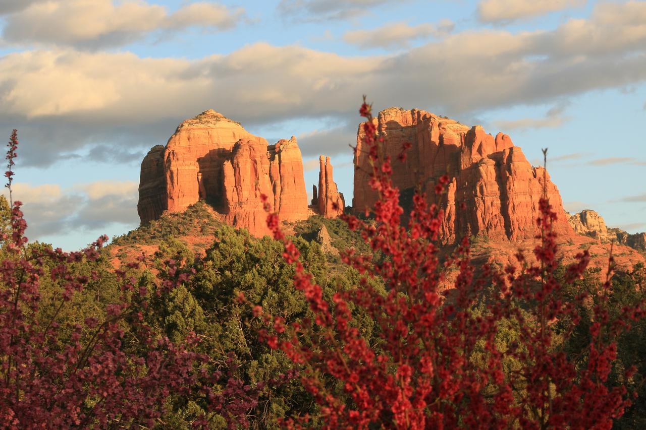 Cathedral Hideaway Llc Bed & Breakfast *