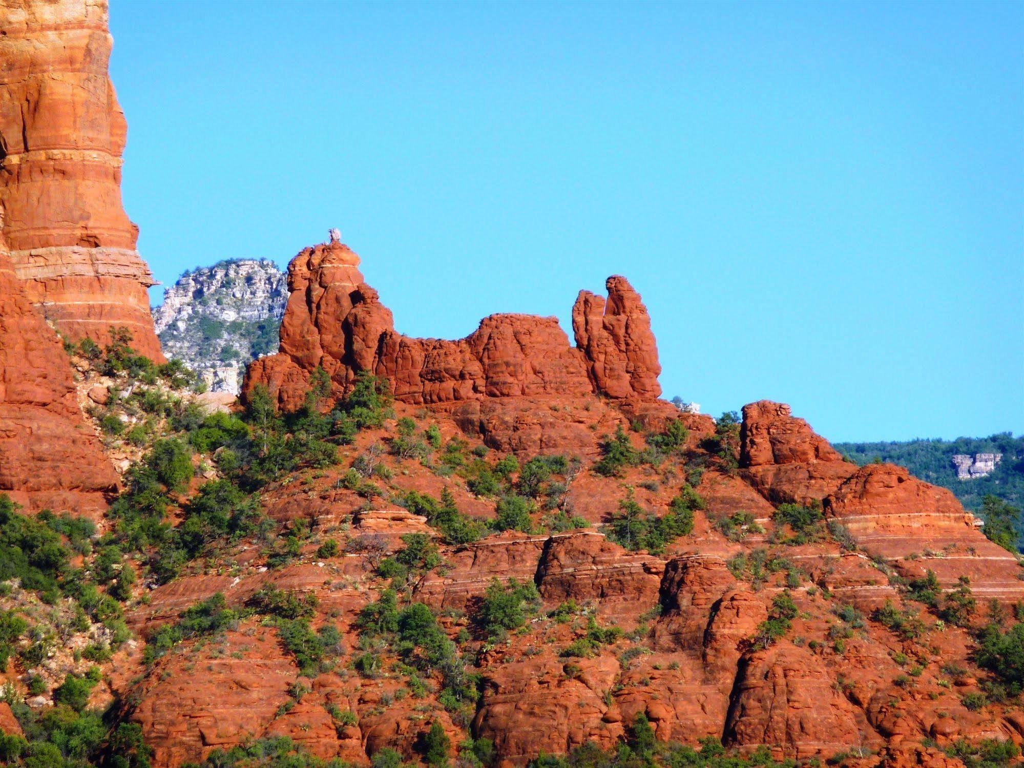 Cedars Hotel Sedona