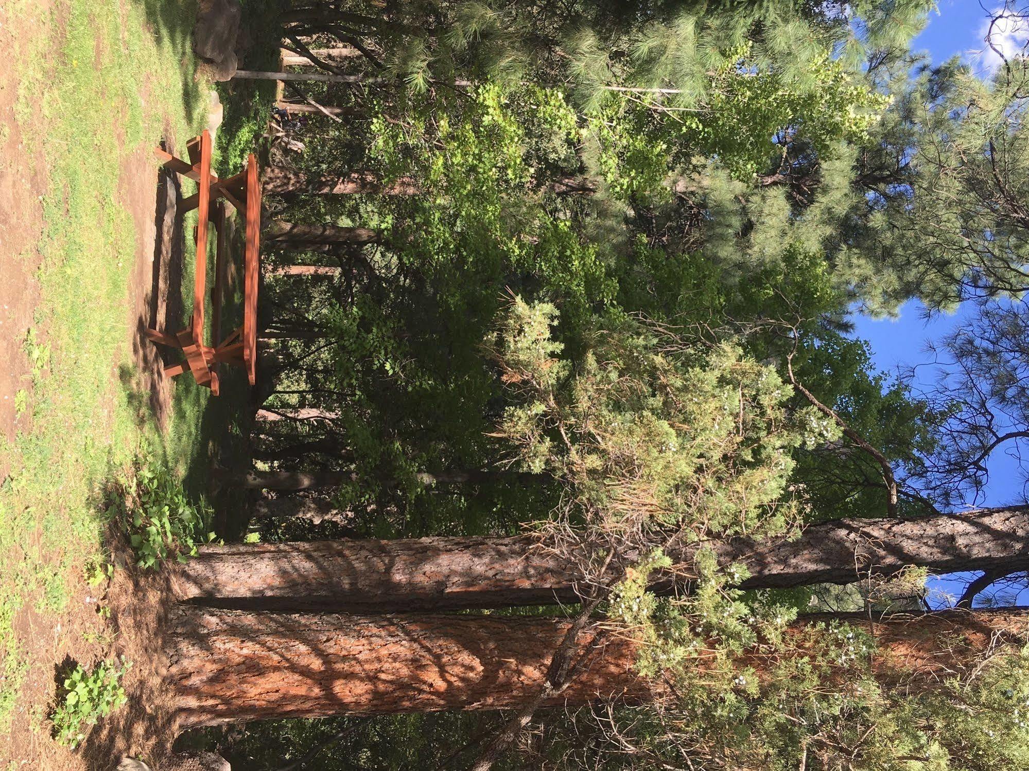 Resort Junipine