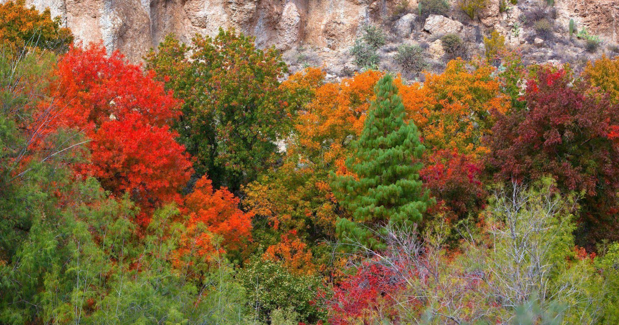 Express - Oak Creek By Ihg 3* Sedona