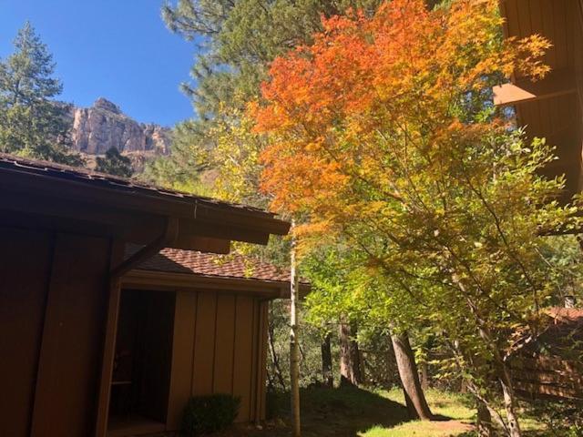 Junipine Resort Sedona