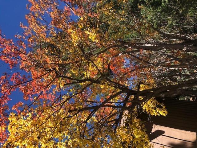 Resort Junipine Sedona